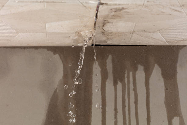 Professional Structural Drying technician working in Mebane, NC